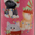 FARMHOUSE BISCUITS Chocolate Orange Biscuits in Festive Kitten Tube 150g