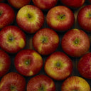 Red Or Green Apple Snack Pack 150 (Case of 1)