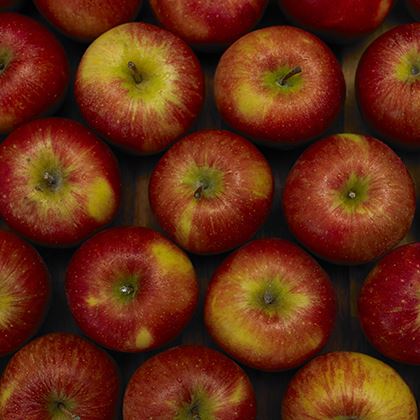 Red Or Green Apple Snack Pack 150 (Case of 1)
