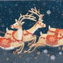 Farmhouse - Flying Santa Milk Choc Chip Tin (12x225g)