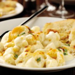 Everyday Favourites Macaroni