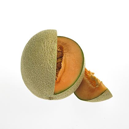 BB - Canteloupe Melon