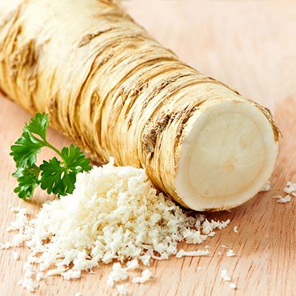 Radish Horseradish (Case of 1)