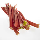 Rhubarb UK / Yorkshire Indoor (Case of 1)