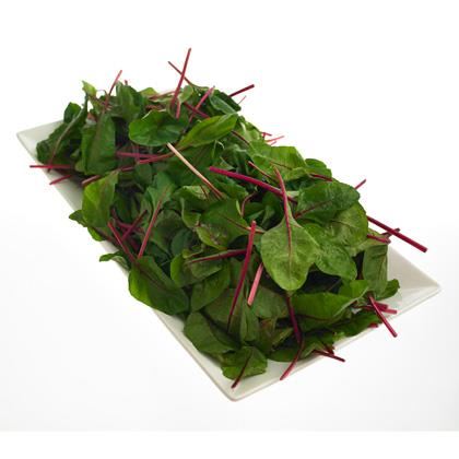 BB - Red Chard baby leaf