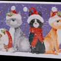 Farmhouse - Christmas Cat Rectangle Tin (12x225g)
