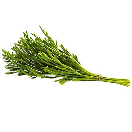 BB - Samphire