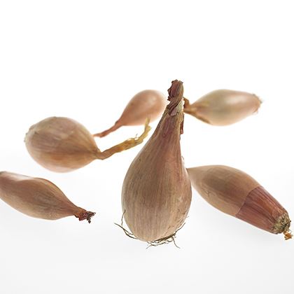 BB - Banana Shallots