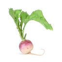 Turnip Loose (Case of 1)