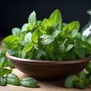 BB - Picked Mint Tips