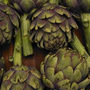 Artichoke Globe