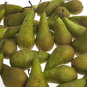 Packham / Conference Pear (Case of 1)