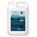 Sea Kelp Hand and Body Lotion Refill 5L (Case of 2)