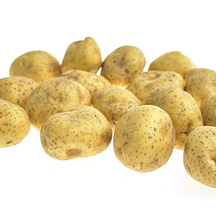 Jacket Baking Potatoes 50 per box