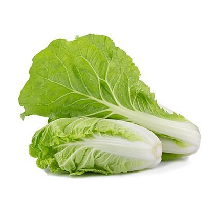 BB - Bok Choi Cabbage