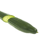 Cucumber 350-400g (Case of 12)