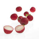 BB - Radish Pre-Pack
