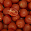 Plum Tomato  47-57MM