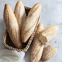 BB - FRESH CORN IN THE HUSK x EACH