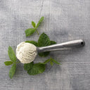 Arran Dairy Mint Choc Chip Traditional Dairy Ice Cream Napoli
