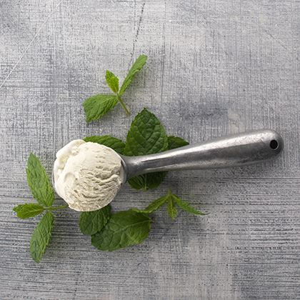 Arran Dairy Mint Choc Chip Traditional Dairy Ice Cream Napoli