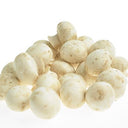 BB - Button Mushroom 15-40mm