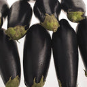 Aubergine Black