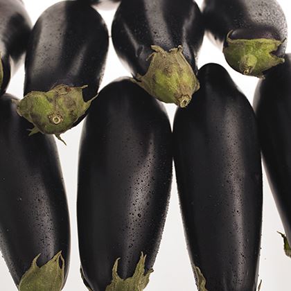 Aubergine Black