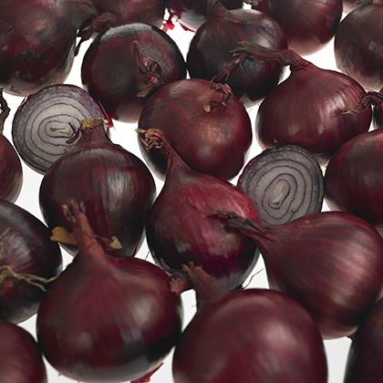 Red Onion (Case of 1)