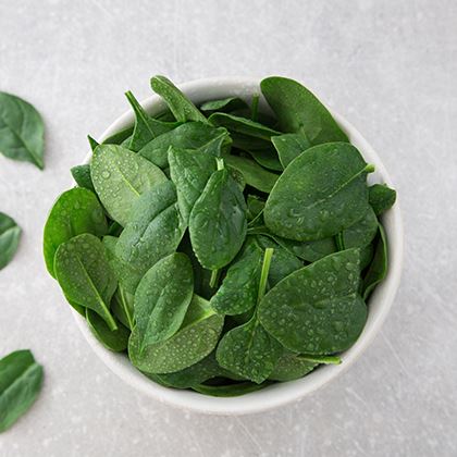 BB - Mini Spinach Small