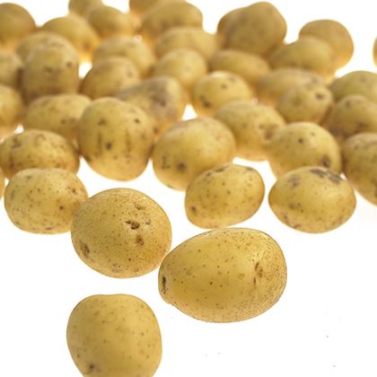 Mid Salad Potato - Imported 28-35mm