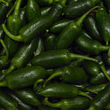 Jalapeno Green Chillis