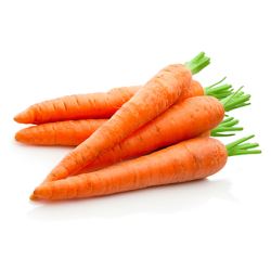 BB - CARROT HYDRO-COOLED OK215s