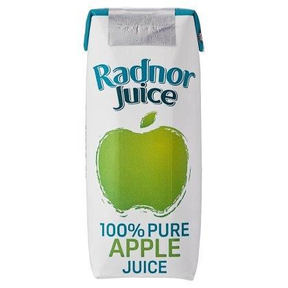 Radnor Apple Juice Tetra (Case of 60)