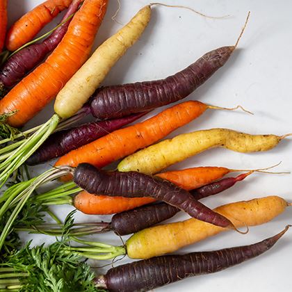 BB - Carrots Purple Heritage