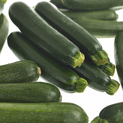 Courgette Green (Case of 1)