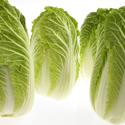 Chinese Leaf Loose (Case of 8)