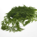 BB - Dill