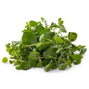BB - Watercress Pre-Pack