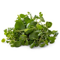 BB - Watercress Pre-Pack