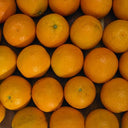 Orange Small Snack Pack (Case of 100)