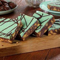 Mint Tiffin