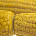 Sweetcorn Cob Vacuum Packed (Case of 12)