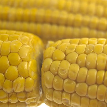 Sweetcorn Cob Vacuum Packed (Case of 12)