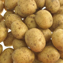 Ware Potatoes (Washed)
