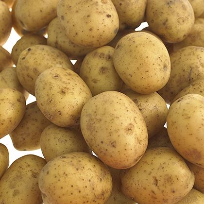 Ware Potatoes (Washed)