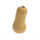 BB - Butternut Squash