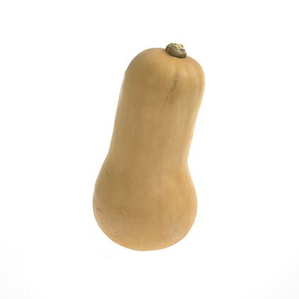 BB - Butternut Squash