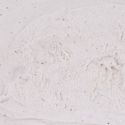 Vegan Vanilla Ice Cream