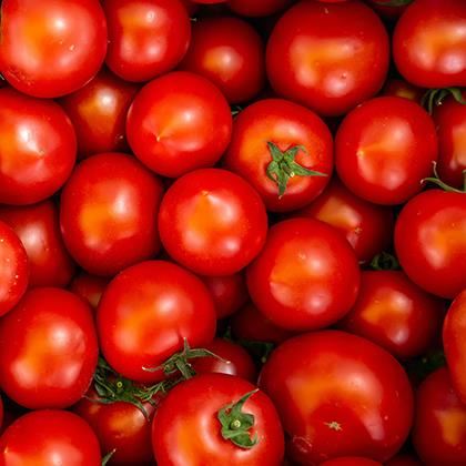 Intense Tomatoes 47-57mm